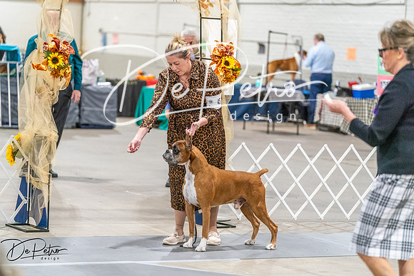 20261022-DSC00786