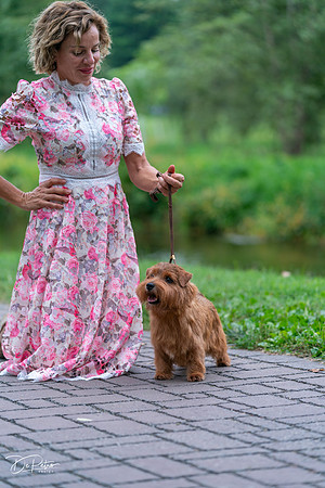20260912-DSC03257