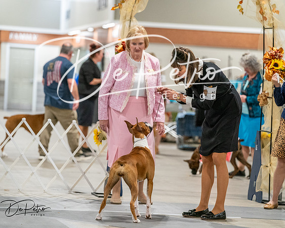 20261022-DSC03050