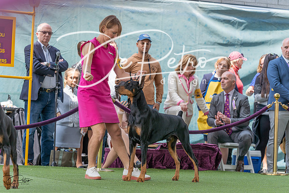 20230509-DSC01271