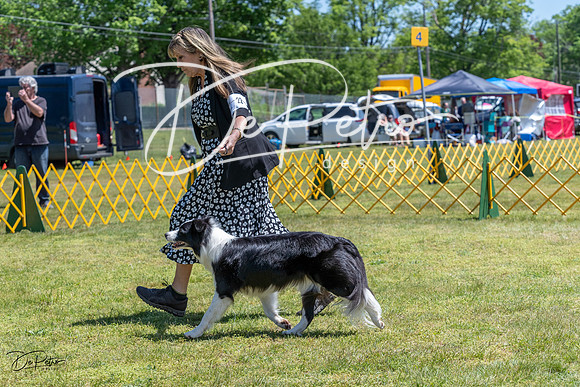 20230514-DSC05064