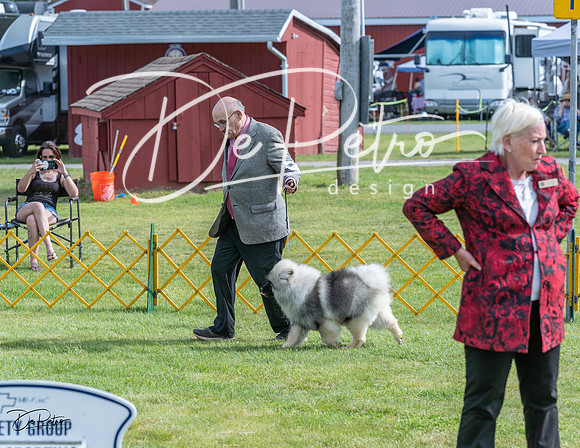 20230513-DSC00461