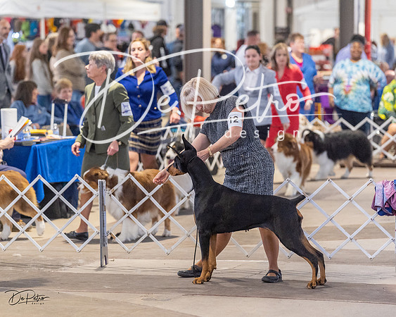 20230401-DSC06624
