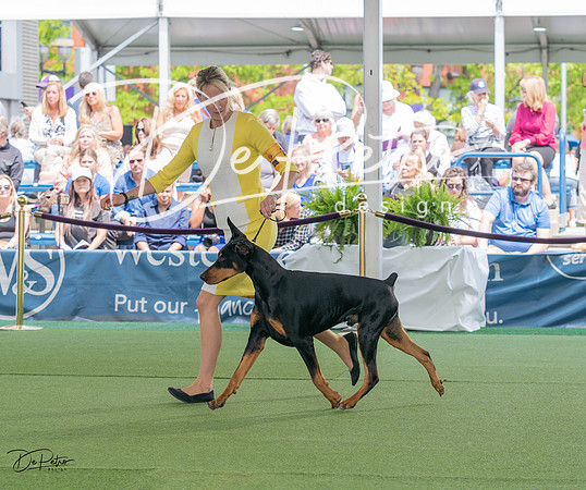 20230509-DSC01117