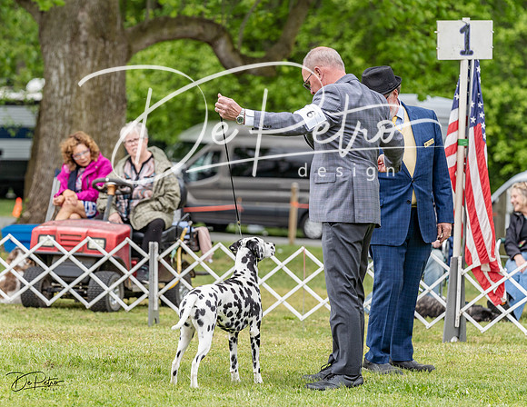 20230427-DSC07325