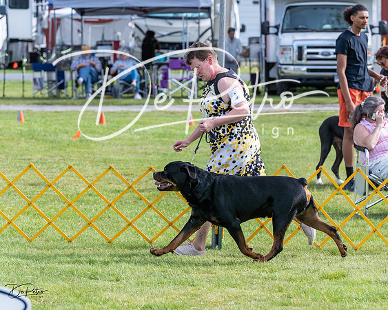 20230513-DSC01097