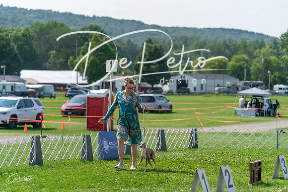 20240816-DSC00304