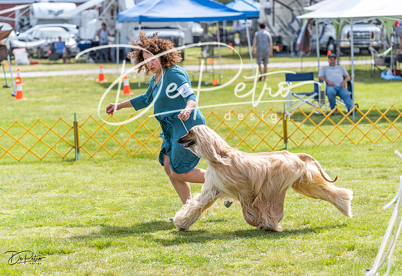 20230513-DSC09434
