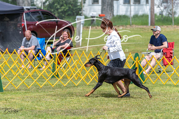 20230513-DSC08386