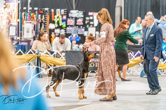 20261001-DSC07218