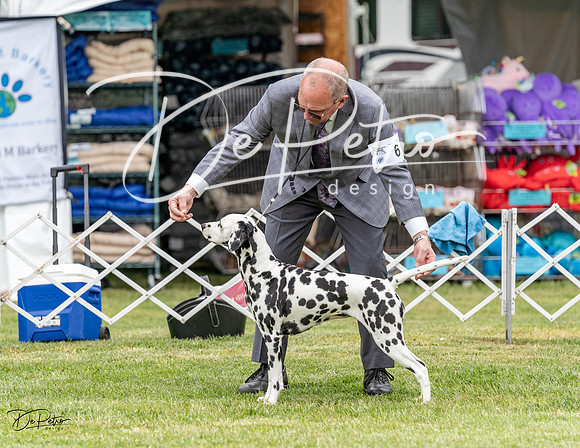 20230427-DSC07504