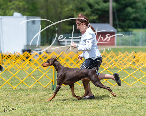 20230513-DSC08571