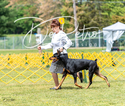 20230513-DSC08226