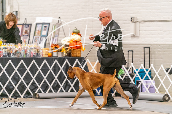 20261024-DSC08362