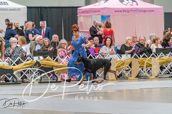 20260928-DSC06338