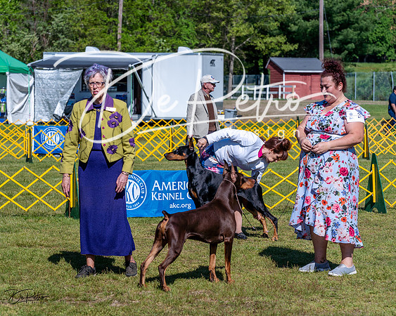 20230514-DSC03164