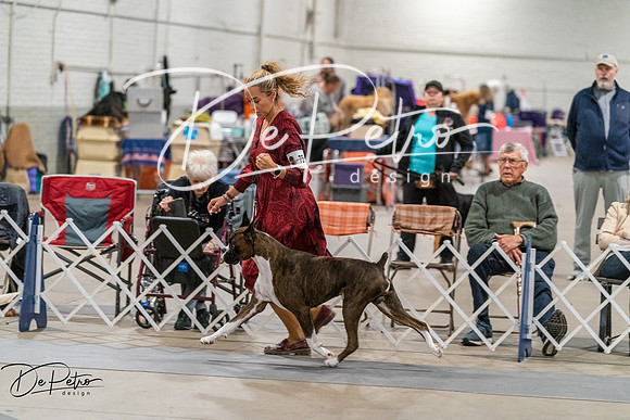 20261023-DSC05576