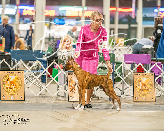 20261022-DSC01694