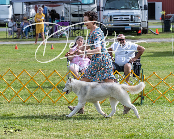 20230513-DSC00707