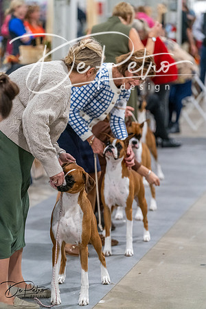 20261023-DSC04957