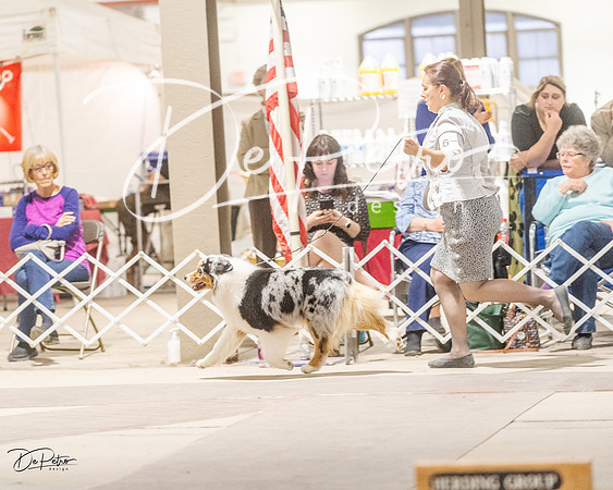 20230401-DSC07754