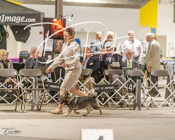 20230401-DSC08054