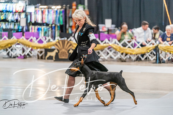 20260930-DSC06914