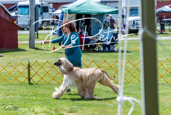 20230513-DSC09144