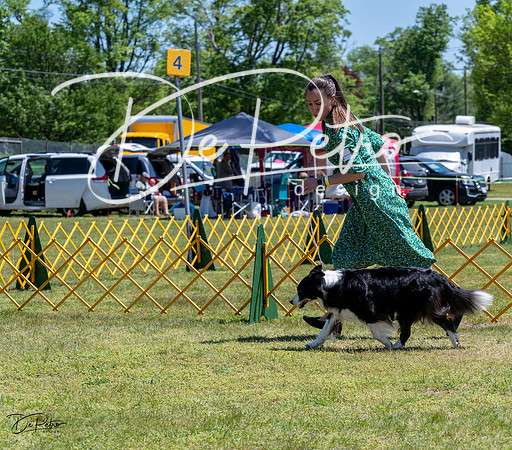 20230514-DSC04848