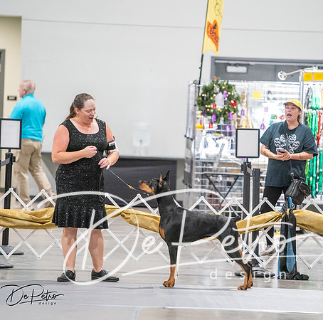 20260926-DSC04210