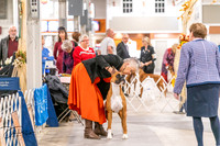 20261024-DSC08373