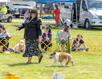 20230512-DSC03950