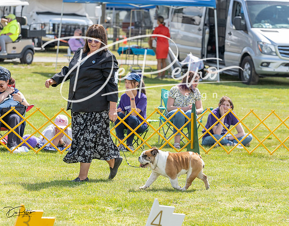 20230512-DSC03950