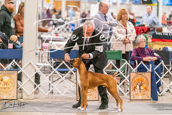20261024-DSC08419