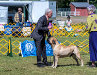 20230514-DSC03636