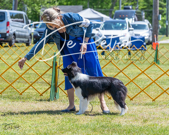 20230514-DSC04721