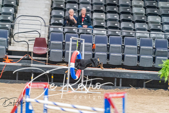 20260929-DSC06439