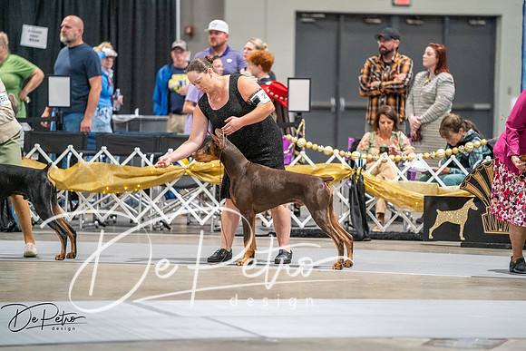 20260926-DSC04721
