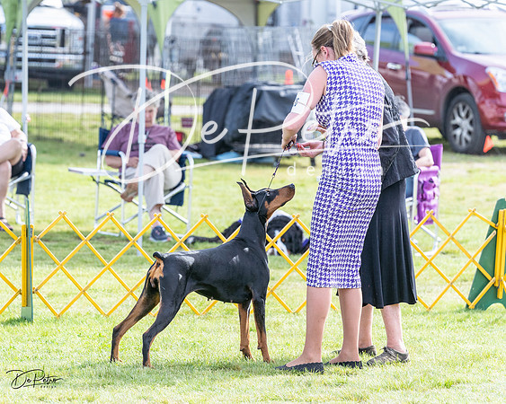 20230513-DSC01059