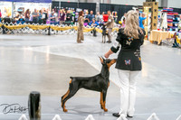 20260926-DSC03972