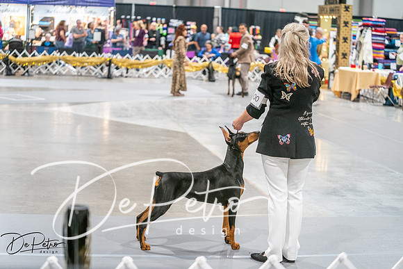 20260926-DSC03972
