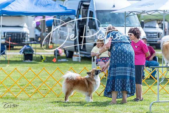 20230512-DSC05468