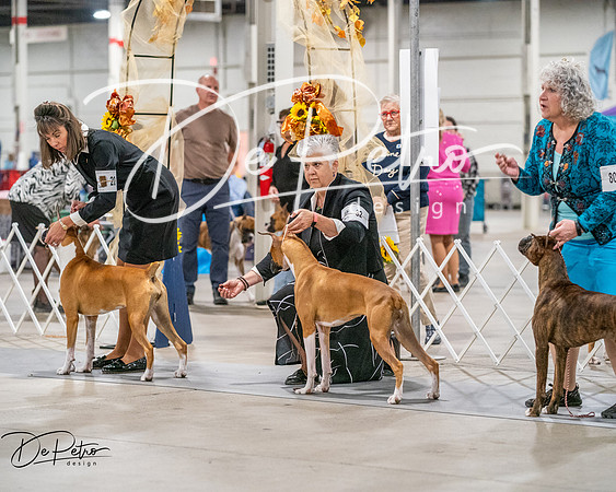20261022-DSC01662