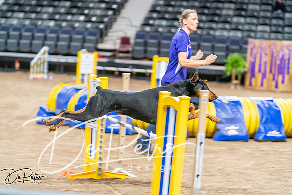 20260929-DSC06735