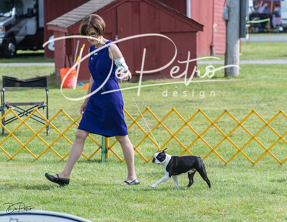 20230513-DSC00251