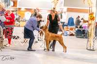 20261024-DSC08324