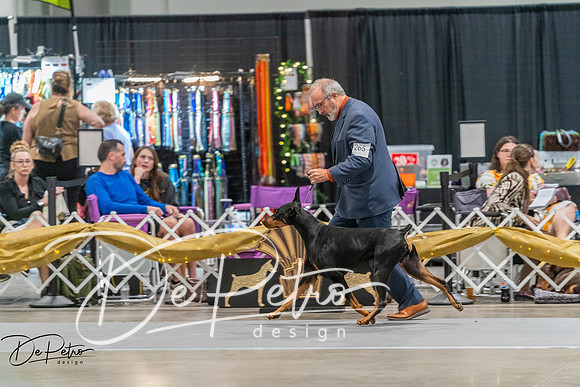 20260927-DSC05590