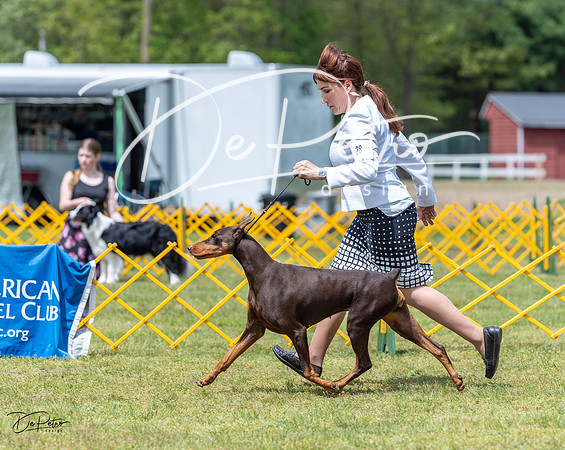 20230513-DSC08573