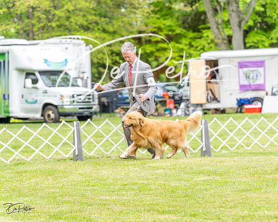 20230427-DSC03321