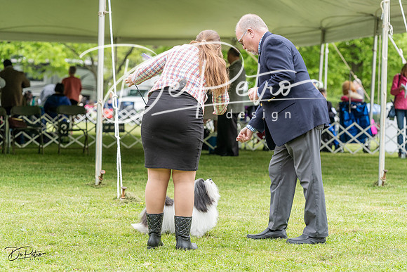 20230427-DSC04193